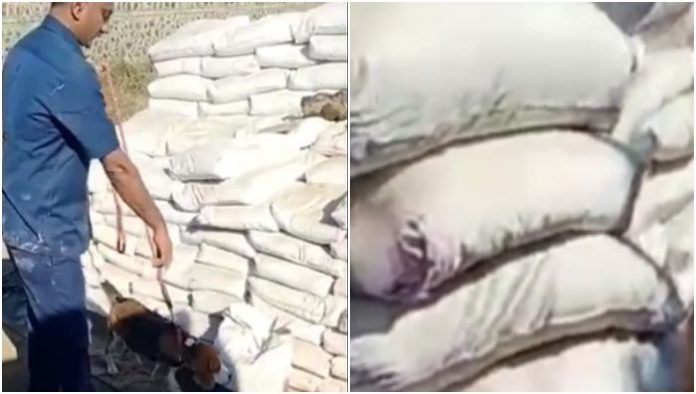 ડ્રગ્સ પકડાયું