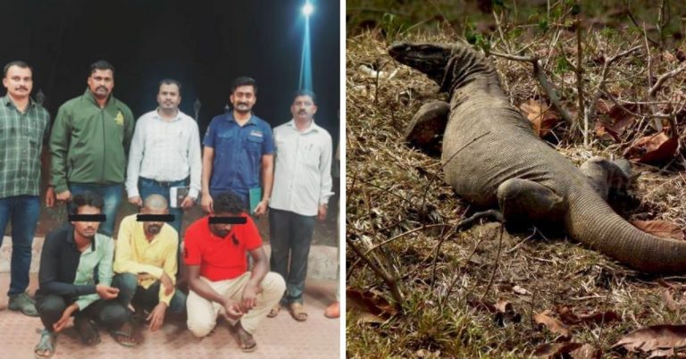ઘો સાથે બળાત્કારનો ચોકાવનારો કિસ્સો.