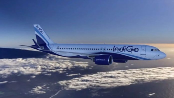 DGCA Fine Indigo