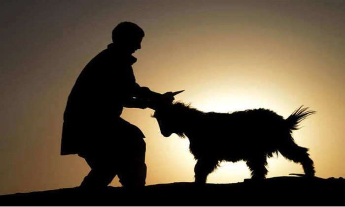 Eid Qurbani