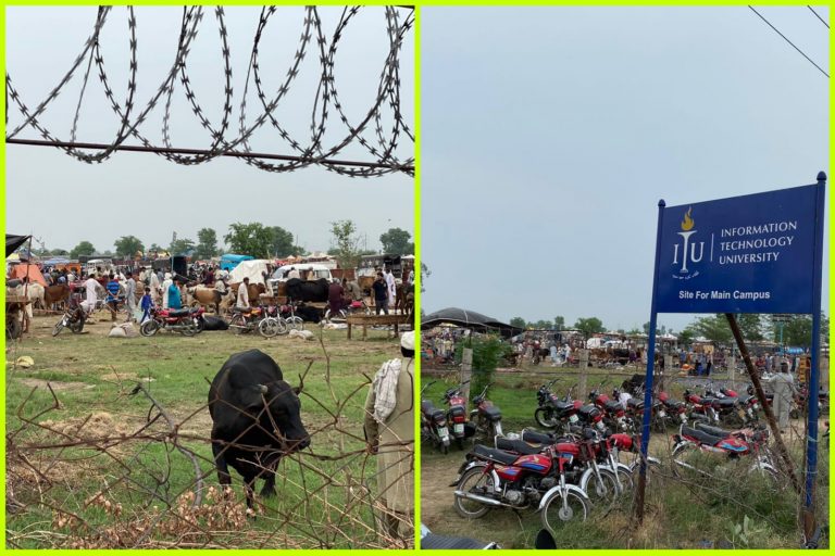 bakra mandi university campus
