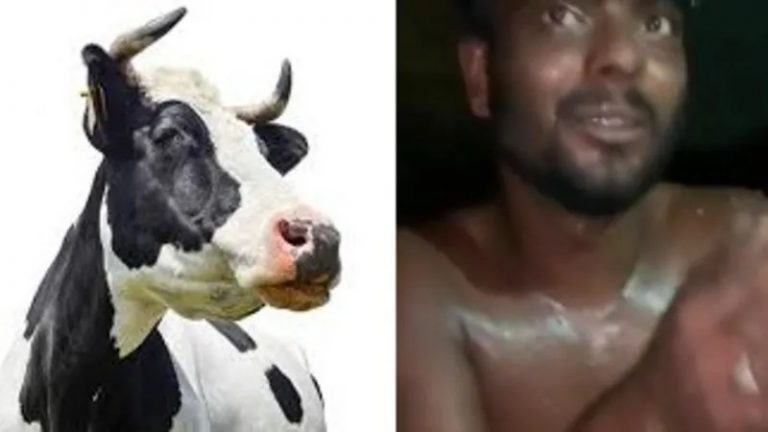 છત્તીસગઢમાં ગાય પર રેપ