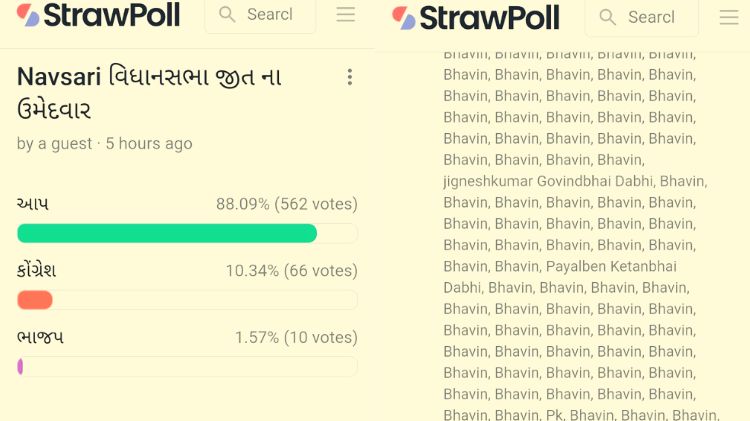 નવસારી આપ