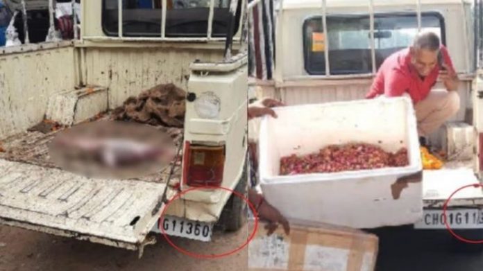 ચંદીગઢમાં માંસ લઇ જતી ગાડીમાં ફૂલ લઇ જવાયાં