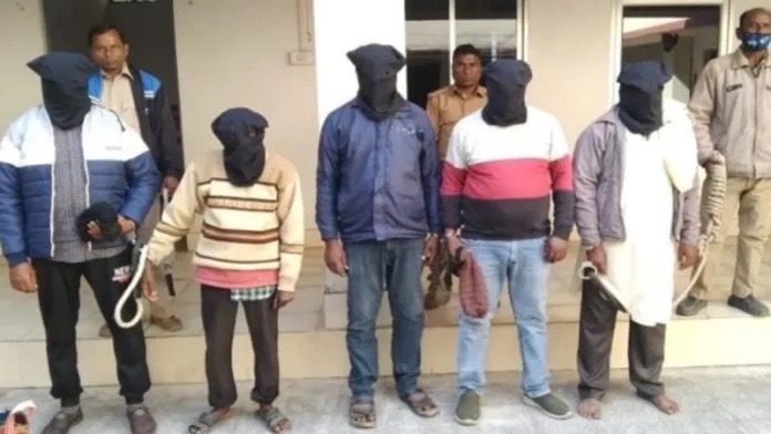 500kg of beef seized from Jharkhand