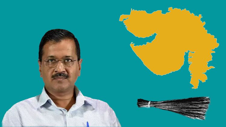 ગુજરાતમાં AAPને કોણે મત આપ્યા