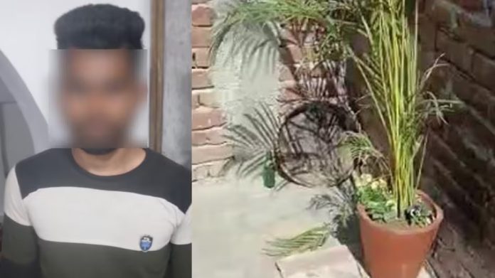 બે ચોરો આગ્રાથી
