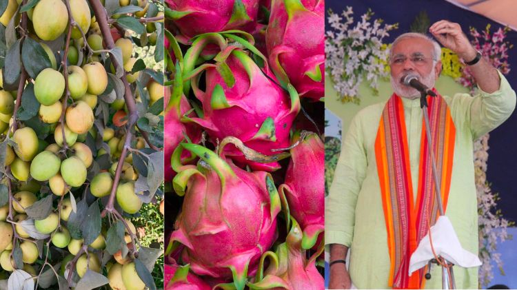 ગુજરાત કૃષિ ક્રાંતિ