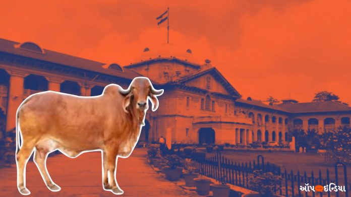 ગૌહત્યા ઈલ્હાબાદ હાઈકોર્ટની ટીપ્પણી