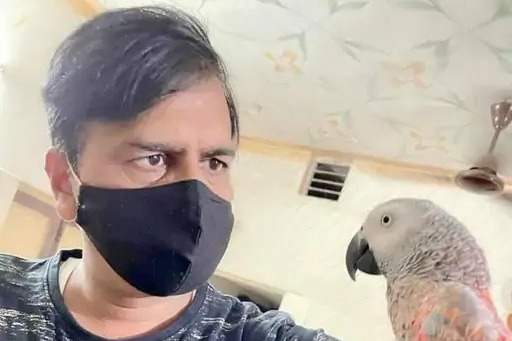 વિદેશી પોપટ પાળવાનો