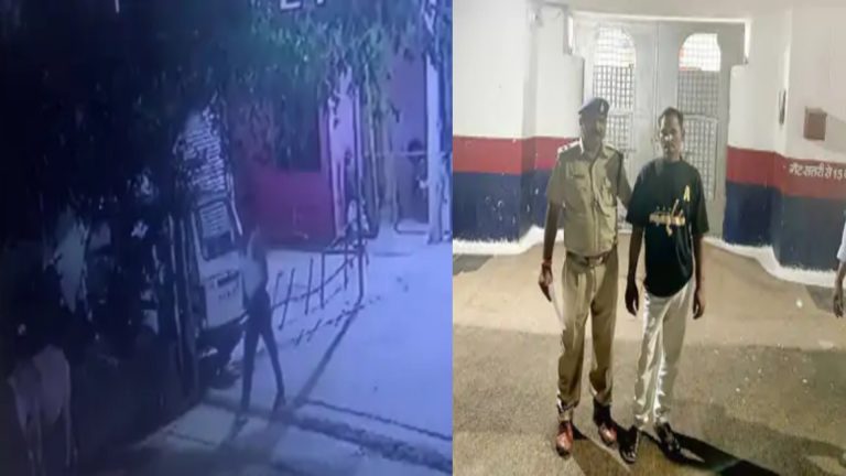 છત્તીસગઢમાં હસન ગાય બળાત્કાર