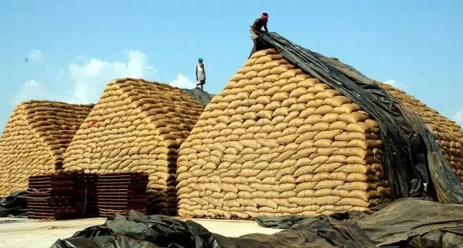 વિશ્વનો સૌથી મોટો ખાદ્ય અન્ન સંગ્રહ