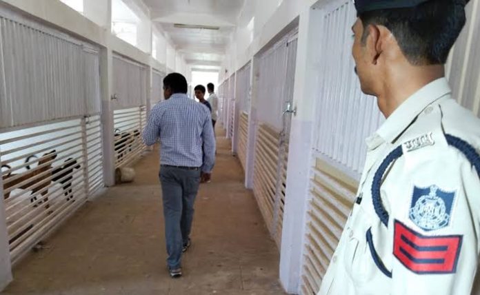 હેમા મીણાના ફાર્મ હાઉસ પરથી મળ્યા 100થી વધુ કુતરાઓ