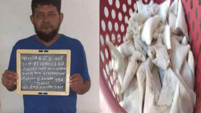 માંગરોળના ગૌમાંસ ભરેલા સમોસા