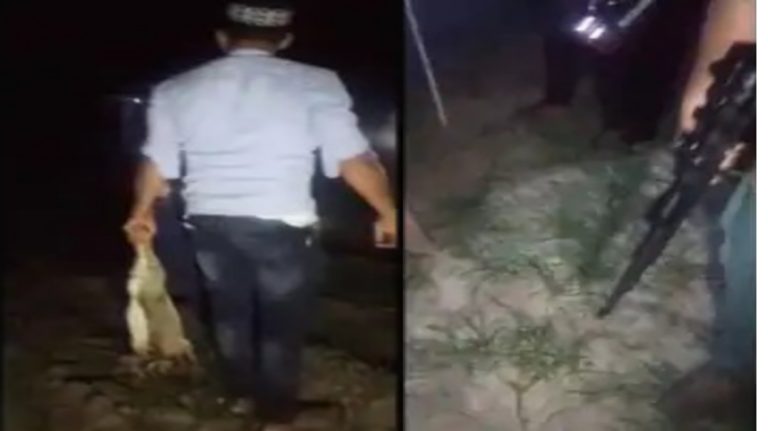 હિંમતનગરના વન્યજીવોનો ગેરકાયદેસર શિકાર