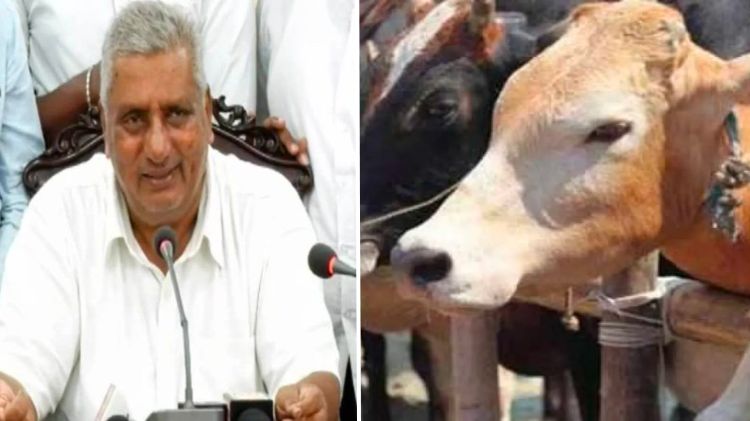 કર્ણાટક મંત્રી ગાય કતલ