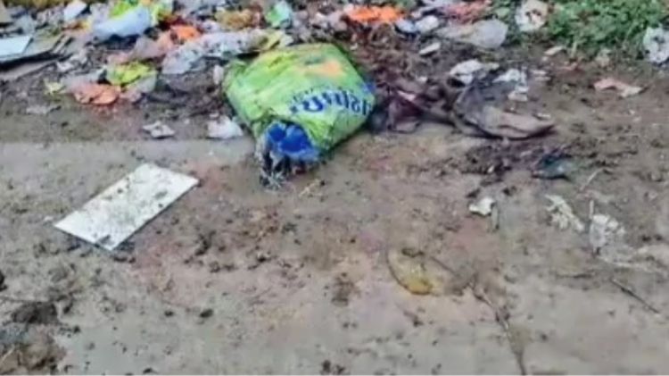 આણંદ પશુ માંસ