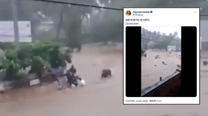 જૂનાગઢ પશુઓ AAP મજાક