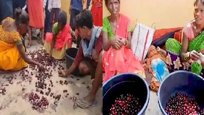 બિહારમાં પોલીસકર્મીએ આદિવાસી મહિલા સાથે અયોગ્ય વર્તન કર્યું હોવાનો આરો