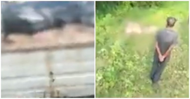 માંડવી - જનતા રેડ - ગૌમાંસ