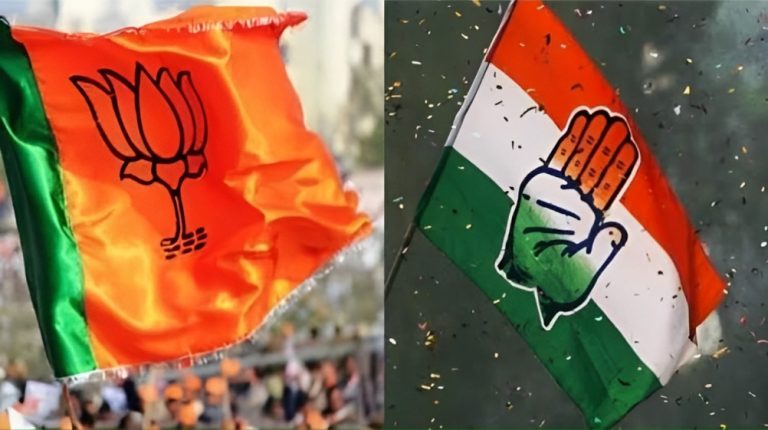 ગુજરાતમાં નગરપાલિકાની ચૂંટણીનું પરિણામ જાહેર, 29 માંથી 20 બેઠકો પર જીત્યું ભાજપ