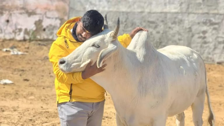 ગૌરક્ષક મોનુ ધરપકડ VHP