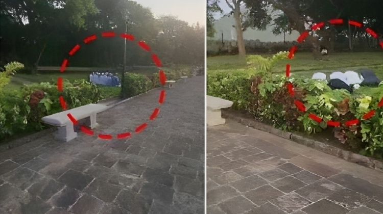 જૂનાગઢના ઉપરકોટમાં જાહેરમાં નમાજ વાયરલ