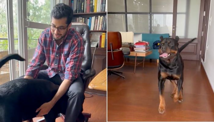હેનરી પરત મળ્યો