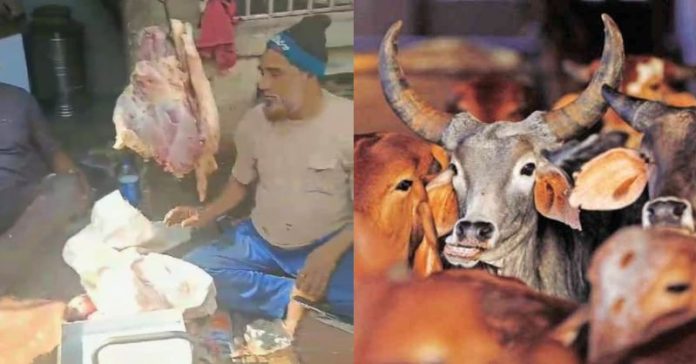 સુરતના ગૌમાંસ પોલીસે
