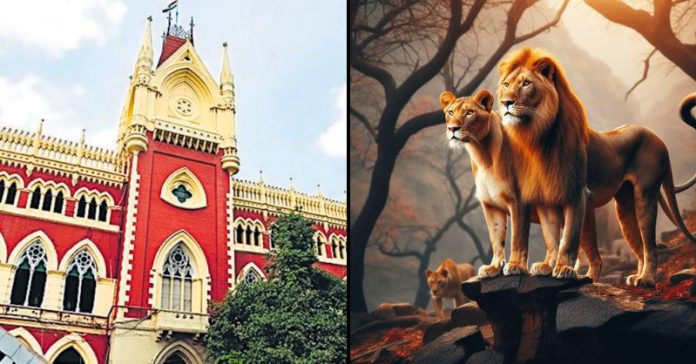 કલકત્તા હાઇકોર્ટ સિંહ