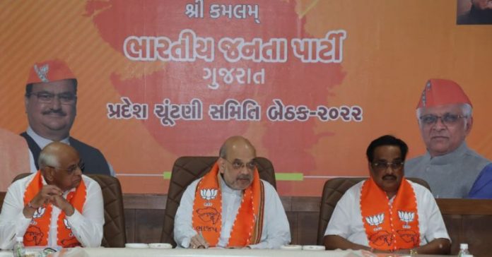 ગુજરાતના 11 લોકસભા ઉમેદવારોની