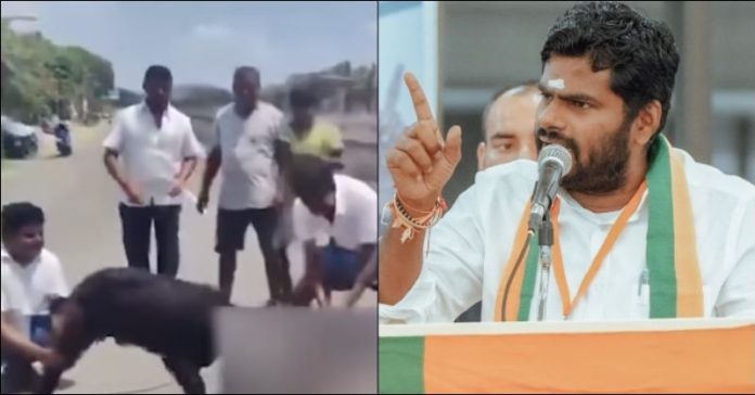 અન્નામલાઇ બકરો
