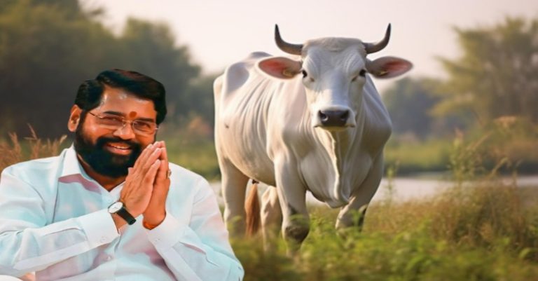 મહારાષ્ટ્ર ગાયને ‘રાજ્યમાતા’