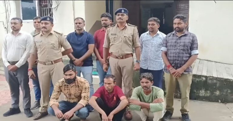 બોરસદની નહેરમાં ગૌવંશ
