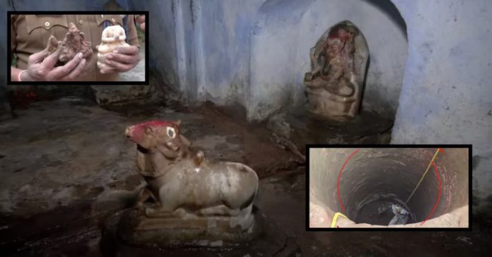 સંભલના મંદિર કૂવામાંથી મૂર્તિઓ