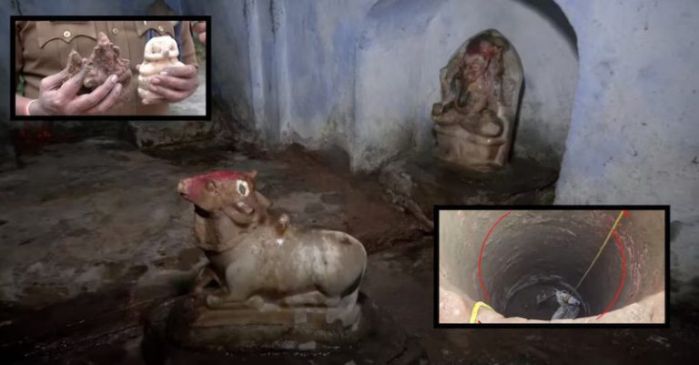 સંભલના મંદિર કૂવામાંથી મૂર્તિઓ