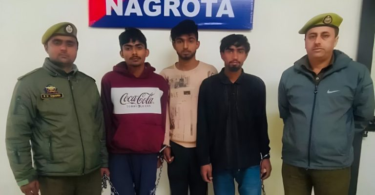 ગૌવંશ નગરોટા ધરપકડ
