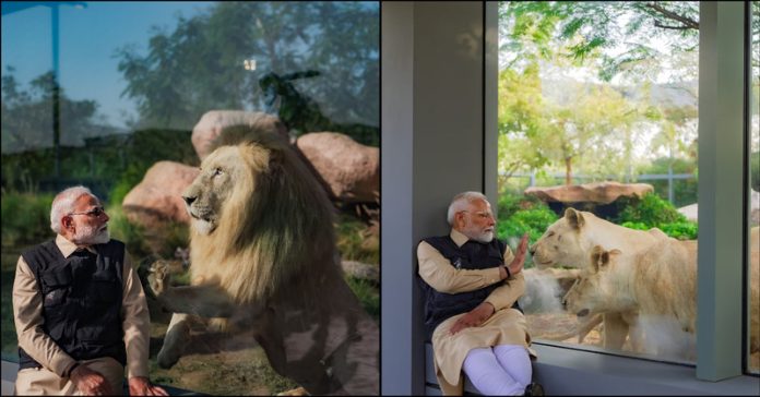 PM મોદીએ વન્યજીવ