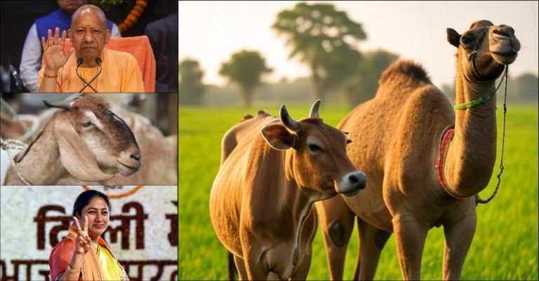 બકરીદ દિલ્હી પ્રતિબંધ