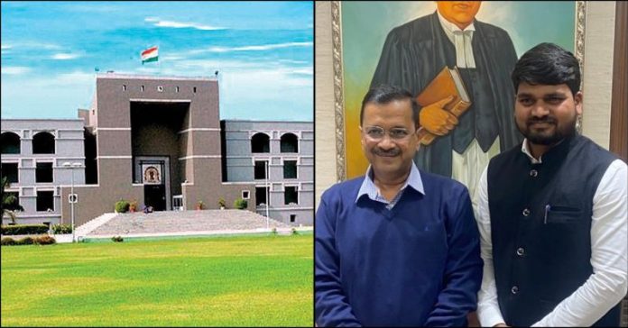 હાઇકોર્ટે ચૈતર જામીન