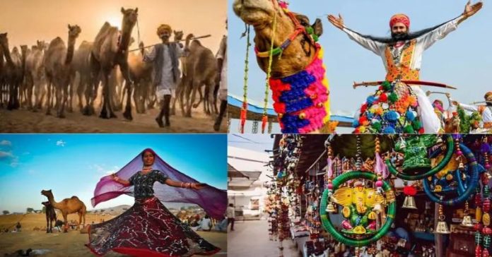 પુષ્કર મેળો